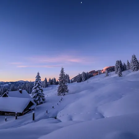 Joergenbauerhuette Casa de Férias *