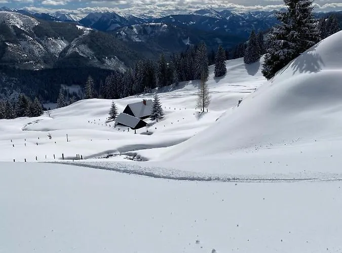 Joergenbauerhuette Tatil Evi Spital Am Pyhrn